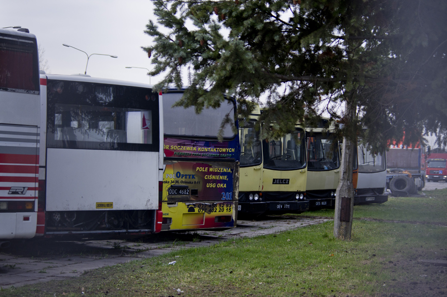 Zgraja spod płotu