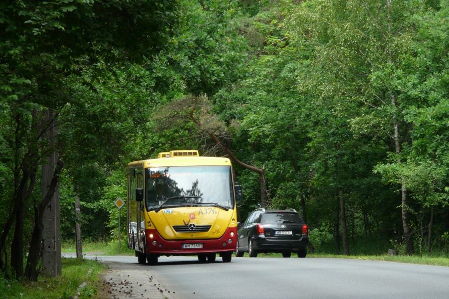 #A376 - 1/220