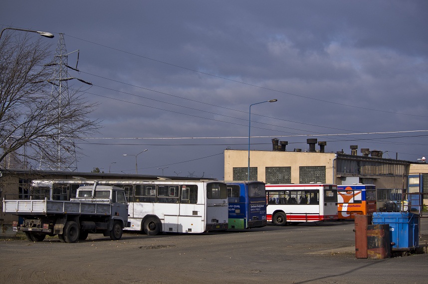 Działkowicze